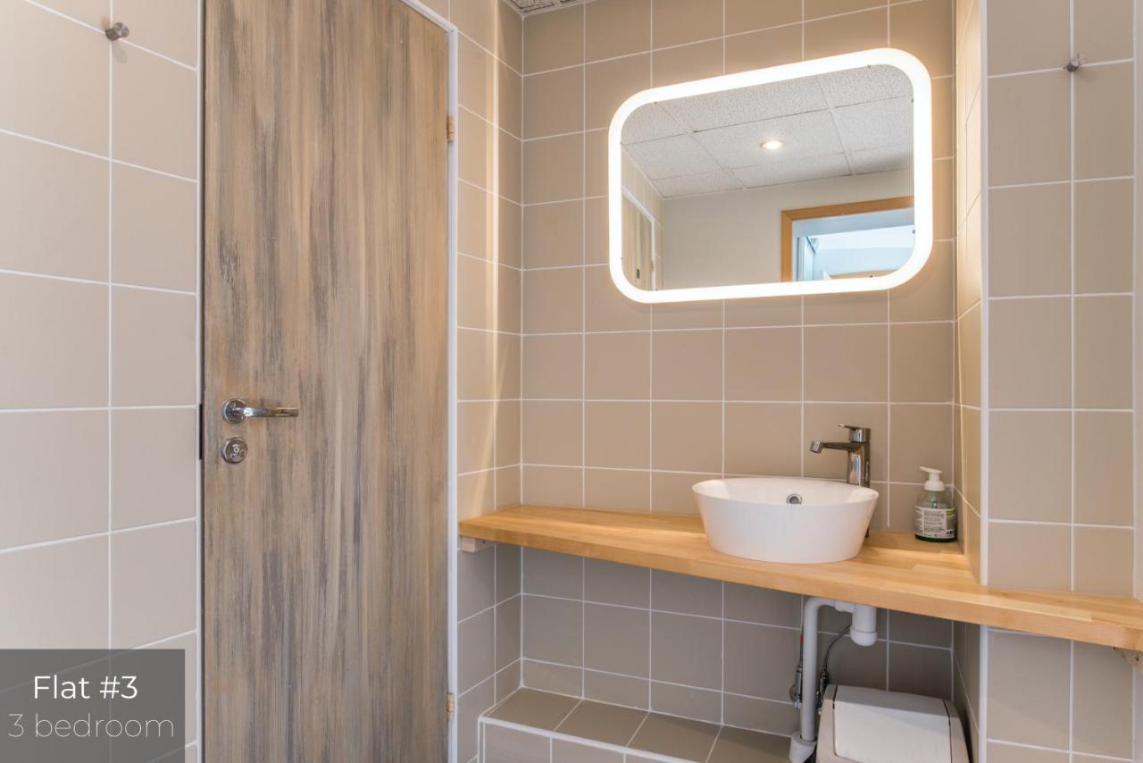 ריגה Dandelion Apartments Lacplesa מראה חיצוני תמונה